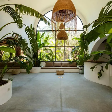 Deluxe Pet Friendly Otel