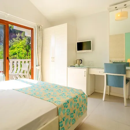 Deluxe Pet Friendly فتحية
